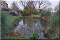 Pond at Keepers Cottage, Wrawby Moor