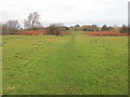 SJ0680 : Grass footpath on Graig Fawr by Peter Wood