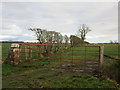 NY3572 : Gate and hedge, Cubbyhill by Jonathan Thacker