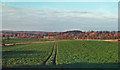 Fields Near Little Carcary