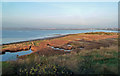 Montrose Basin Wildlife Reserve