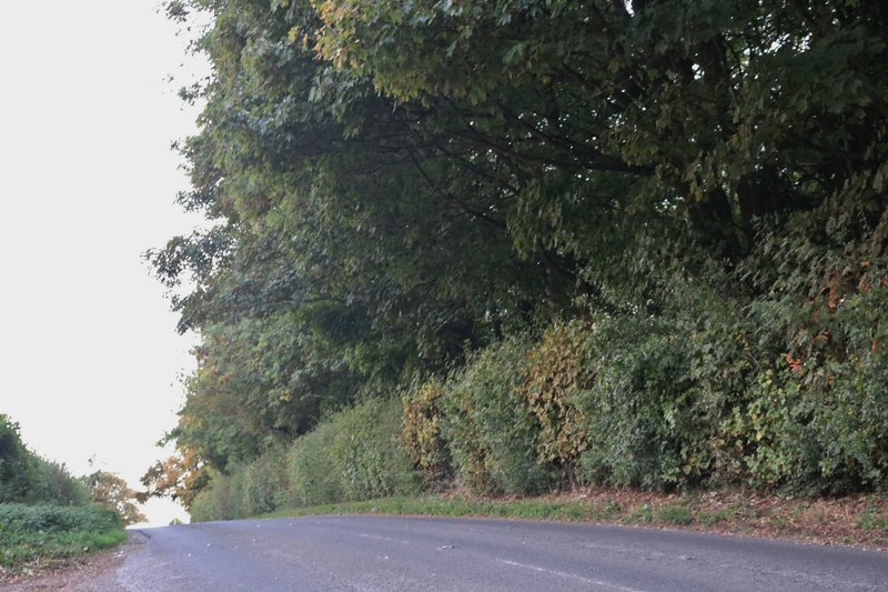 Kingsclere Road north of Overton © David Howard :: Geograph Britain and ...