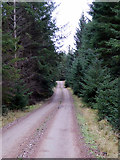 NC6836 : Road leading into southern Naver Forest by John Lucas