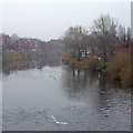 Misty River Severn at Bridgnorth, Shropshire