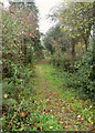 Footpath to Hutcherleigh