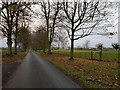 Driveway at Hawkhills