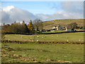 Farmland east of Middle Rigg