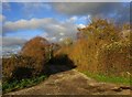 The entrance to Manor Farm