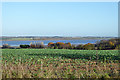 View over Stour estuary