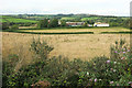 Fields near Yalberton