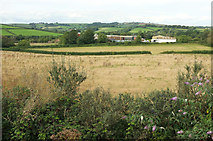 SX8659 : Fields near Yalberton by Derek Harper