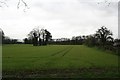 Circle of trees in field off Deepdale Lane, Boston Spa