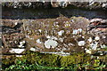 Bridge name/date stone for Barngill Bridge