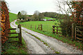 Track to Cheddarmarsh Farm