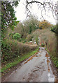 Lane past Brambletye