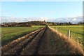 Footpath north of Earsdon