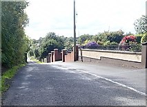 H9511 : Road descending towards Ballybinaby Bridge by Eric Jones