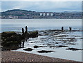 Newport-on-Tay shoreline