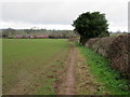 Footpath and hedgerow