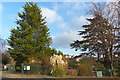 An entrance to Beechwood Park, Newport