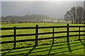 Sunlight through rain shower, West Stoke Farm