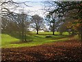 Field off Foxhole Lane