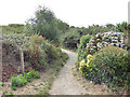 South-West Coast Path alongside Sea Road