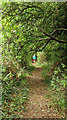 Three Peaks Walk on Knowle Hill