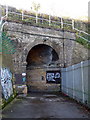 Crabble Meadows railway tunnel, Buckland