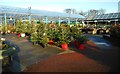 Rouken Glen Garden Centre