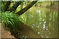 River Chew near Chew Magna