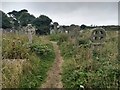 Ancient gravestones in Lelant cemetery