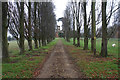 Tree-lined track