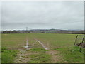 Field near Holbrook Farm