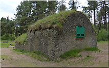 NO5026 : The Ice House in Tentsmuir Forest by Mat Fascione