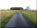 Minor road approaching Wardshill Cottage