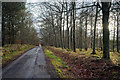 Estate road through the Brahan Estate