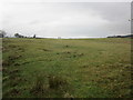 NS6089 : Grass field north of Provanston Farm by Jonathan Thacker