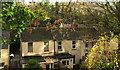 Houses on Hele Road, Torquay