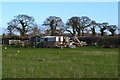 Field at Peel Common