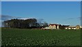 Another view of Woolthwaite Farm