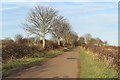 Minor road south of Buston Barns