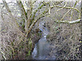 Carlton Beck above Dean Lane