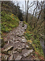 SD6974 : The Ingleton Waterfalls Trail, Swilla Glen by David Dixon