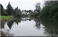 Pond beside Broompark Drive