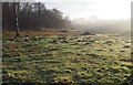 TL8293 : Misty meadow by David Pashley