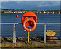 Lifebuoy on the Queen Elizabeth Wharf, Dundee