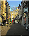 Rose Crescent Christmas decorations