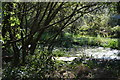 Pond, Stanmore Country Park