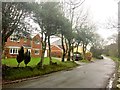 Houses at Dukefield